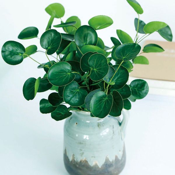 2pcs/lots water grass eucalyptus plastic artificial plants green grass plastic flower decoration plant wedding home table decor
2pcs/lots water grass eucalyptus plastic artificial plants green grass plastic flower decoration plant wedding home table decor