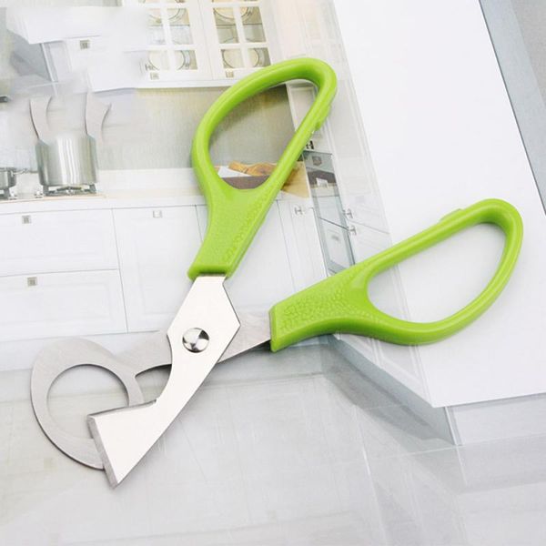 pigeon quail egg scissor bird cutter opener kitchen tool clipper sale shells scissors cracker cigar stainless steel cutter new
pigeon quail egg scissor bird cutter opener kitchen tool clipper sale shells scissors cracker cigar stainless steel cutter new