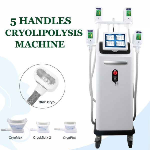 new cryolipolisis machine cryo vacuum therapy fat e slimming body shaper fat reduction 4 handles work at the same time
new cryolipolisis machine cryo vacuum therapy fat e slimming body shaper fat reduction 4 handles work at the same time
