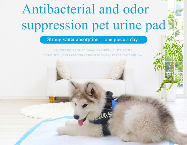 2020 disposable pet dog diaper absorbent pet antibacterial deodorant instant absorption dry leakage proof pad
2020 disposable pet dog diaper absorbent pet antibacterial deodorant instant absorption dry leakage proof pad