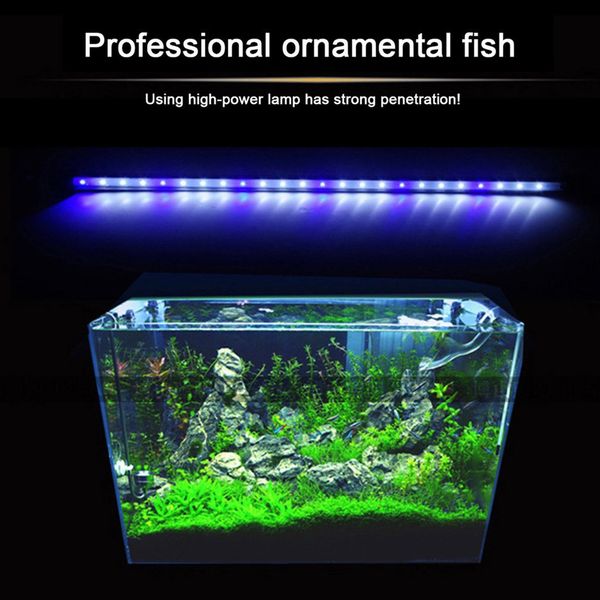 2 colors aquarium fish tank led light amphibious use white blue/ red blue green light color submersible waterproof clip lamp hot
2 colors aquarium fish tank led light amphibious use white blue/ red blue green light color submersible waterproof clip lamp hot