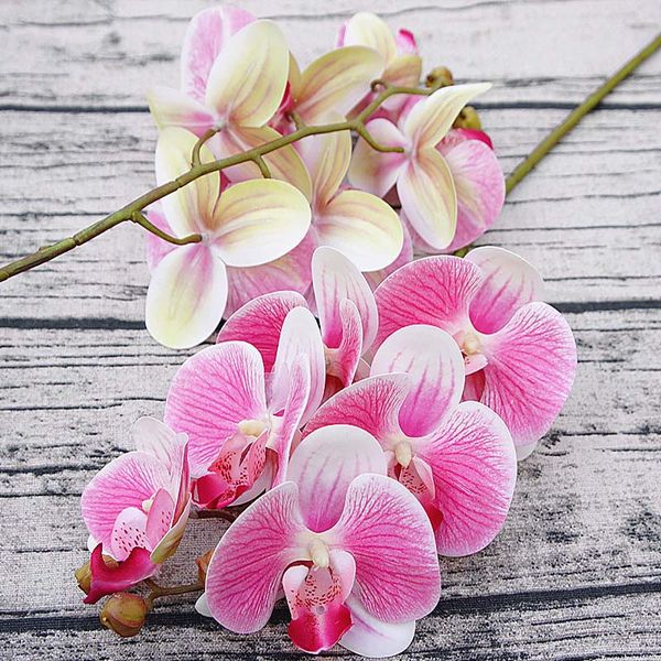 simulation 3d small butterfly orchid 6 heads/bundle fake flower home drapery wall wedding decoration diy artificial phalaenopsis
simulation 3d small butterfly orchid 6 heads/bundle fake flower home drapery wall wedding decoration diy artificial phalaenopsis