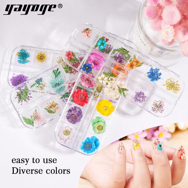 yayoge nail decoration dried flower 4 box 48 types nails adornment noble salon nature's elf, Silver;gold
yayoge nail decoration dried flower 4 box 48 types nails adornment noble salon nature's elf, Silver;gold