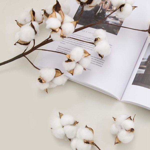 cotton stems 6 loaded 10 balls 55cm farmhouse display filler lace decoration simulation dried flower cotton long branches
cotton stems 6 loaded 10 balls 55cm farmhouse display filler lace decoration simulation dried flower cotton long branches