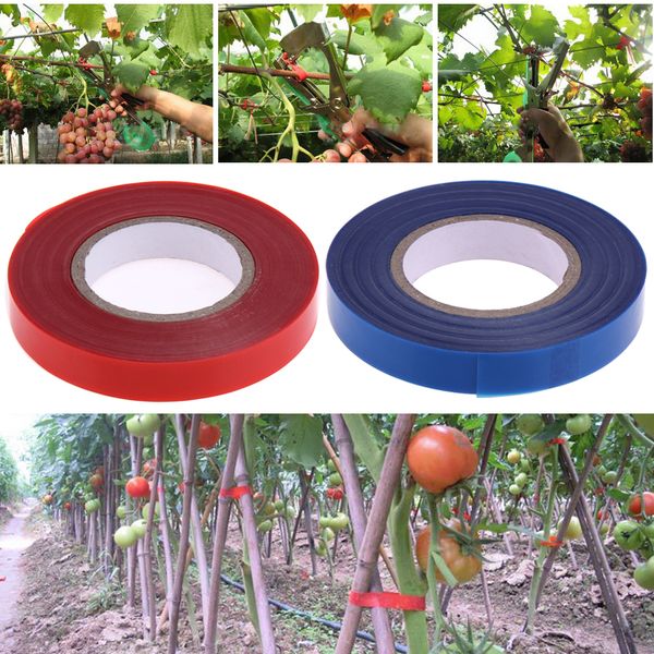 1.1cmx30m pe tapetool tape plant branch tape gardening tape grape for binding tying machine tapener garden tools
1.1cmx30m pe tapetool tape plant branch tape gardening tape grape for binding tying machine tapener garden tools