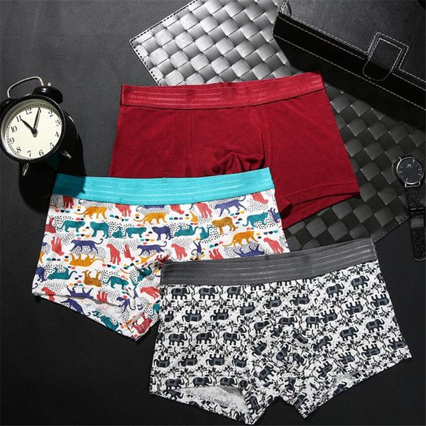 4pcs\lot panties mens underwear soft boxers modal boxer men print boxer shorts boxers men underwear lot lxxl xxxl, Black;white
4pcs\lot panties mens underwear soft boxers modal boxer men print boxer shorts boxers men underwear lot lxxl xxxl, Black;white