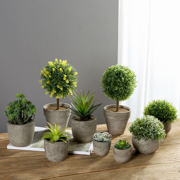 erythrina sea mini potted artificial succulent plants bonsai set fake flower vase decorative flower home balcony decoration
erythrina sea mini potted artificial succulent plants bonsai set fake flower vase decorative flower home balcony decoration