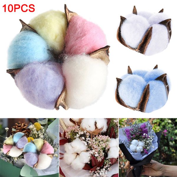 10pcs dried cotton flower heads home wedding party decoration bride corsage hand decorative flowers 2019ing
10pcs dried cotton flower heads home wedding party decoration bride corsage hand decorative flowers 2019ing