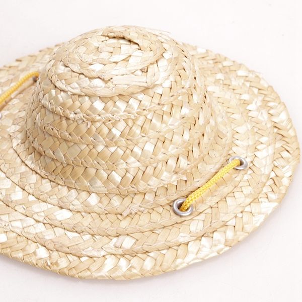 pet decorations cat hat dog sun protection straw vintage farmer accessories other cat supplies
pet decorations cat hat dog sun protection straw vintage farmer accessories other cat supplies