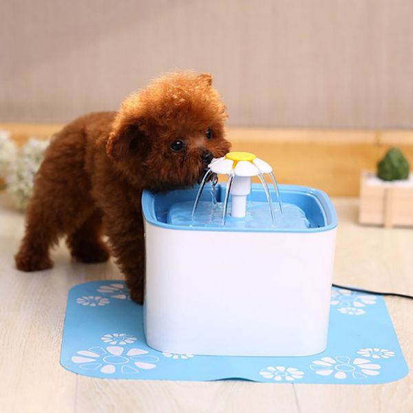 automatic pet cat water drinking fountain 3-stage filtration (upgraded) cube flower style 2.5l dog drinking bowl feeder cat dogs
automatic pet cat water drinking fountain 3-stage filtration (upgraded) cube flower style 2.5l dog drinking bowl feeder cat dogs