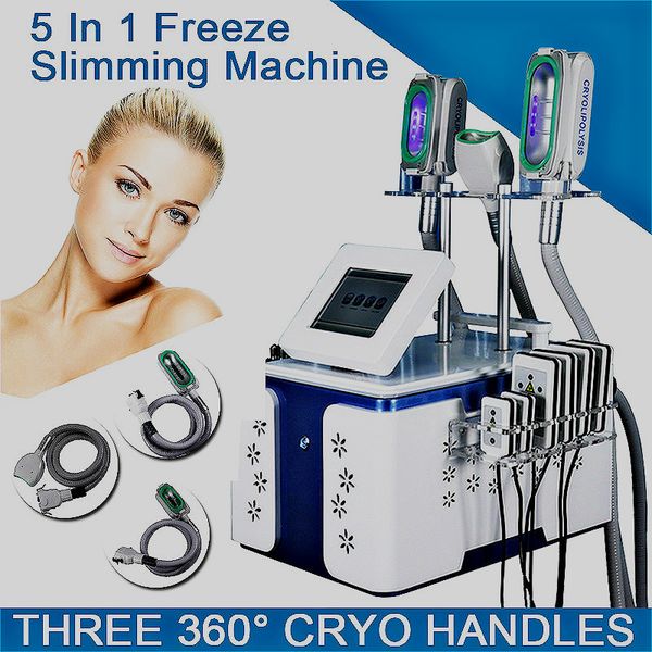 новое прибытие жир уменьшить замораживание машины 3 cryo ручки работает вместе с dobule chins сокращения ручки cryolipolysis 360 ° cryo маши
новое прибытие жир уменьшить замораживание машины 3 cryo ручки работает вместе с dobule chins сокращения ручки cryolipolysis 360 ° cryo маши