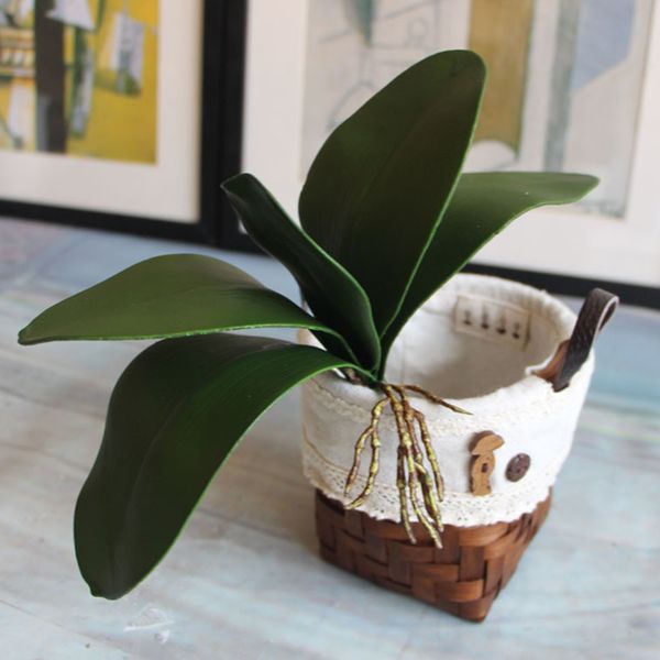 1pcs real touch phalaenopsis leaf artificial plant leaf decorative flowers auxiliary material flower decoration orchid leaves
1pcs real touch phalaenopsis leaf artificial plant leaf decorative flowers auxiliary material flower decoration orchid leaves