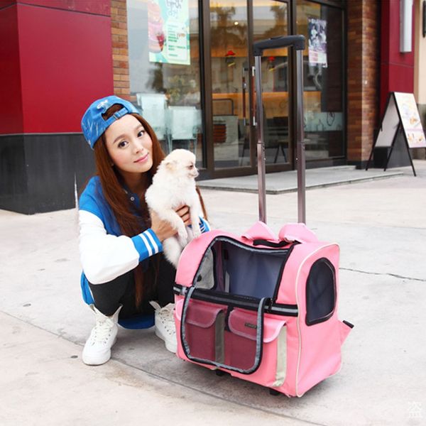 pets carry dog totes fashion pet portable luggage carrier dog bag pet bag trolley luggage
pets carry dog totes fashion pet portable luggage carrier dog bag pet bag trolley luggage