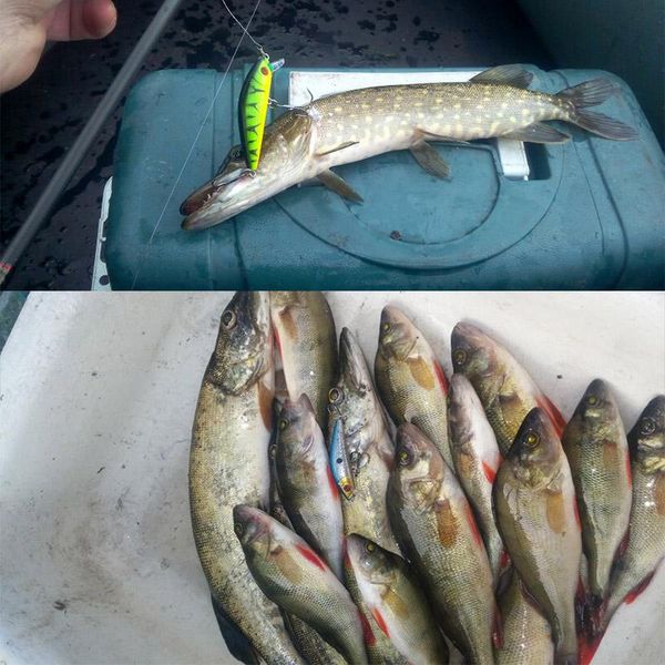 1pcs fishing lure minnow crankbait hard bait tight wobble slow sinking jerkbait fishing tackle 1pcs fishing xtcqp
1pcs fishing lure minnow crankbait hard bait tight wobble slow sinking jerkbait fishing tackle 1pcs fishing xtcqp