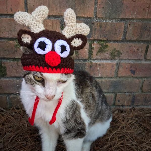 pet christmas costume pet dog cat festival cosplay cute elk deer antlers hat with long straps
pet christmas costume pet dog cat festival cosplay cute elk deer antlers hat with long straps