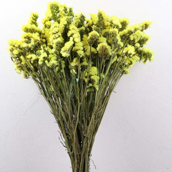 1 bouquet decorative dried flowers flower artificial flower bouquet branch diy dry flowers scrapbooking gypsophila gifts decor
1 bouquet decorative dried flowers flower artificial flower bouquet branch diy dry flowers scrapbooking gypsophila gifts decor