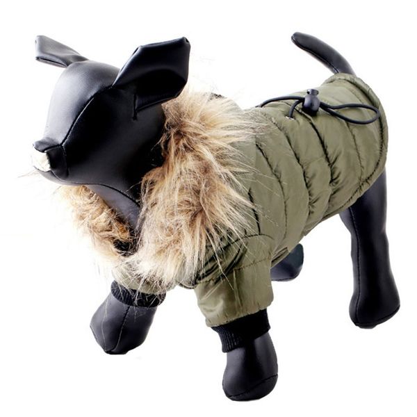 dog clothes supplies pet baby clothing autumn and winter clothing models pet sweater teddy winter clothing
dog clothes supplies pet baby clothing autumn and winter clothing models pet sweater teddy winter clothing