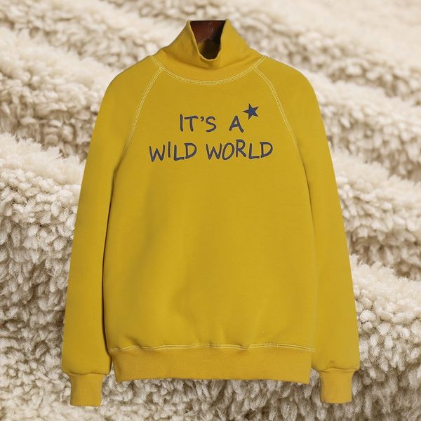 cashmere female 2020 fall and winter clothes korean loose pullover half-collar without plus thick velvet long-sleeved, Black
cashmere female 2020 fall and winter clothes korean loose pullover half-collar without plus thick velvet long-sleeved, Black