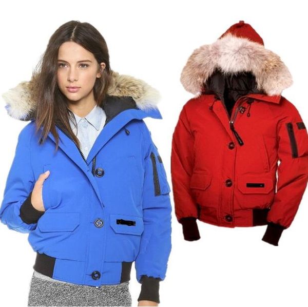 Down e Parkas lko688