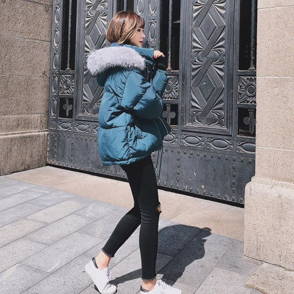 large fur collar down jacket cotton-padded clothes short coltsfoot widelia new style harajuku wind ins cotton coat peacock blue, Blue;black
large fur collar down jacket cotton-padded clothes short coltsfoot widelia new style harajuku wind ins cotton coat peacock blue, Blue;black