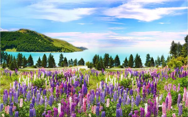3d wallpaper custom p mural mountain lake meadow lavender landscape home decor 3d wall murals wallpaper for walls 3 d living room
3d wallpaper custom p mural mountain lake meadow lavender landscape home decor 3d wall murals wallpaper for walls 3 d living room