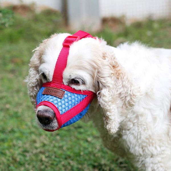 adjustable mesh breathable small&large dog mouth muzzle anti bark bite chew dog muzzles training products pet accessories
adjustable mesh breathable small&large dog mouth muzzle anti bark bite chew dog muzzles training products pet accessories
