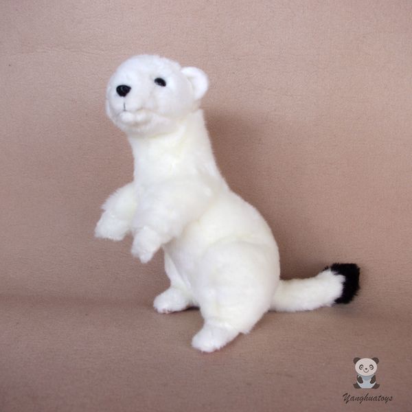 real life plush white ferrets doll toy soft stuffed animal rare weasel model dolls present cute
real life plush white ferrets doll toy soft stuffed animal rare weasel model dolls present cute