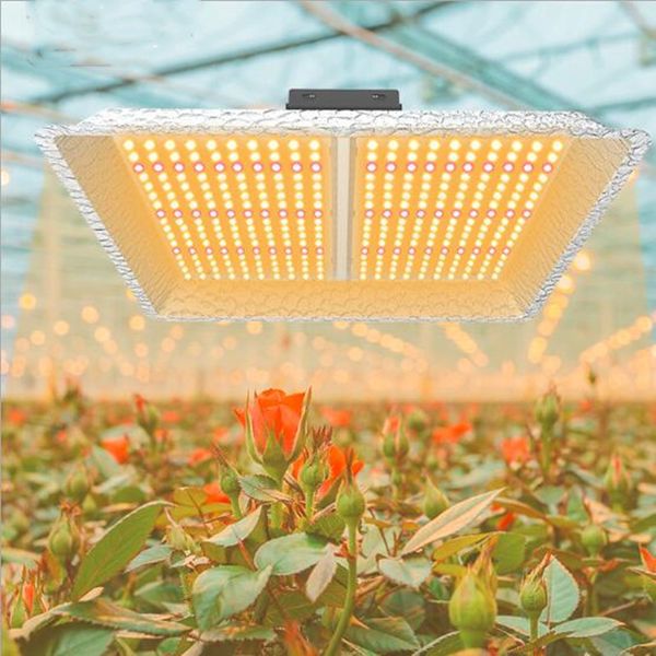 hydro high efficiency sunlight 1000w full spectrum quantum board led grow lights indoor hydroponic medicine plants flower growth lamp
hydro high efficiency sunlight 1000w full spectrum quantum board led grow lights indoor hydroponic medicine plants flower growth lamp