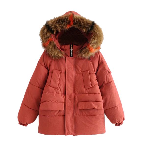 autumn and winter cotton jacket 2018 new long-sleeved large fur collar thick cotton jacket loose bread, Black
autumn and winter cotton jacket 2018 new long-sleeved large fur collar thick cotton jacket loose bread, Black