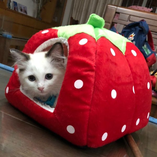 симпатичные клубника pet cat дом для кошек складная кошка питомник кеди эви каттен манд casa gatos productos пункт талисман поставки
симпатичные клубника pet cat дом для кошек складная кошка питомник кеди эви каттен манд casa gatos productos пункт талисман поставки