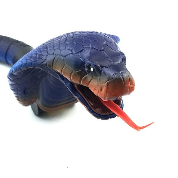 pet kid toy cobra surprise joke rc animal centipede insect cockroach remote control snake prank egg controler caterpilla cat dog y200414
pet kid toy cobra surprise joke rc animal centipede insect cockroach remote control snake prank egg controler caterpilla cat dog y200414