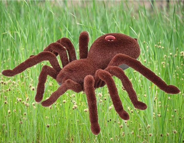 april fool halloween simulation electric remote control toys spider realistic rc animals tricky scary toy funny prank gift toys y200317
april fool halloween simulation electric remote control toys spider realistic rc animals tricky scary toy funny prank gift toys y200317