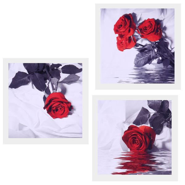 3 panel canvas oil painting, artwork picture wall art decor hanging poster, home chic decor - rose in water
3 panel canvas oil painting, artwork picture wall art decor hanging poster, home chic decor - rose in water