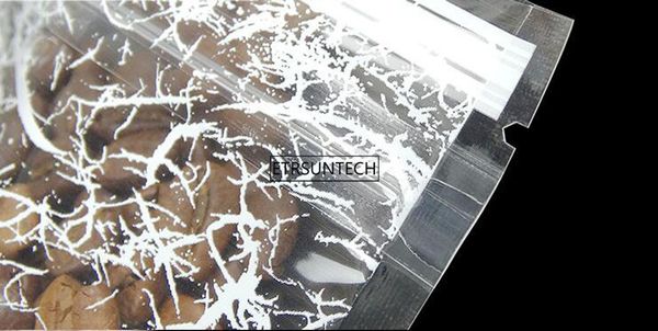 plastic stand up pouch white flower printed bags with front clear zipper reusable food packaging sachet 1000pcs
plastic stand up pouch white flower printed bags with front clear zipper reusable food packaging sachet 1000pcs