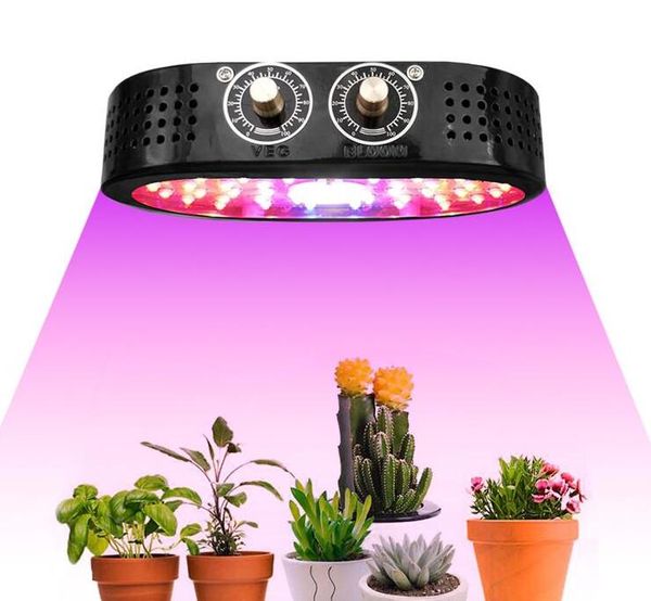bloomveg 1100w led plant light bulb full spectrum led grow light plant lights for indoor plants, grow light bulb for hydroponics gree
bloomveg 1100w led plant light bulb full spectrum led grow light plant lights for indoor plants, grow light bulb for hydroponics gree