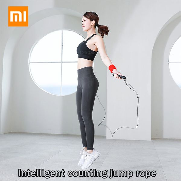 mijia 3m speed jump rope with counter professional skipping rope fitness skip workout training anti-slip handle crossfit
mijia 3m speed jump rope with counter professional skipping rope fitness skip workout training anti-slip handle crossfit