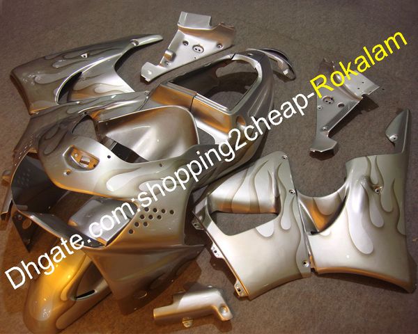 flame motorcycle fairings for honda cbr900rr 1998 1999 cbr919 900rr 919 98 99 cbr900 rr motorbike abs body work silver fairing kit
flame motorcycle fairings for honda cbr900rr 1998 1999 cbr919 900rr 919 98 99 cbr900 rr motorbike abs body work silver fairing kit