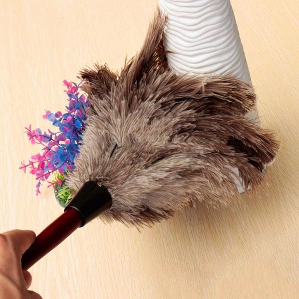 1pc anti-static feather duster ostrich feather fur wooden handle brush duster dust cleaning tool household dusting brush clean
1pc anti-static feather duster ostrich feather fur wooden handle brush duster dust cleaning tool household dusting brush clean