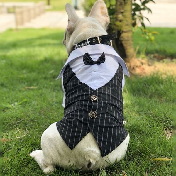 dog wedding clothes dog suit tuxedo clothes for dogs costume bow tie pets clothing for small dogs cats pet supplies
dog wedding clothes dog suit tuxedo clothes for dogs costume bow tie pets clothing for small dogs cats pet supplies