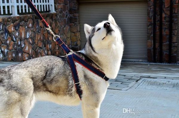 new 2 colors cowboy dog harness and leash products for big or medium pet dogs traction rope ing
new 2 colors cowboy dog harness and leash products for big or medium pet dogs traction rope ing