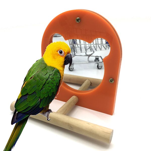 meters strange second acryl bird mirror parrot toys stand rod foreign trade
meters strange second acryl bird mirror parrot toys stand rod foreign trade