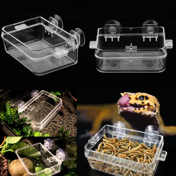 2 pcs reptile feeding bowl anti-escape, suitable for reptiles, such as tortoise, lizard, gecko, frog, lizard, ect
2 pcs reptile feeding bowl anti-escape, suitable for reptiles, such as tortoise, lizard, gecko, frog, lizard, ect