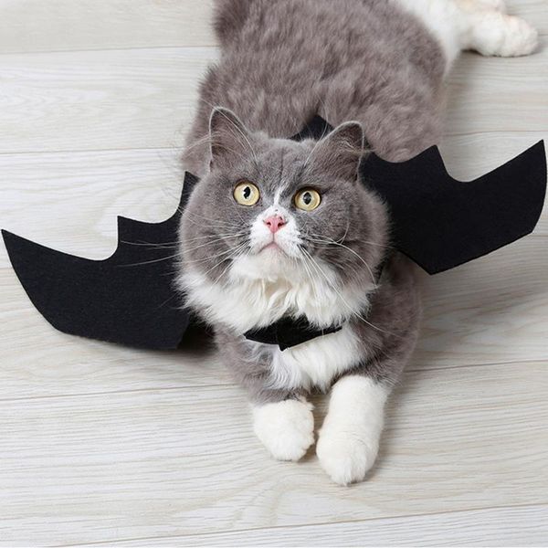 new festival decoration pet bat wings black cool puppy cat bat change body pet cosplay costume supplies
new festival decoration pet bat wings black cool puppy cat bat change body pet cosplay costume supplies