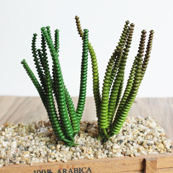 15cm money string artificial green succulent plants festive party supplies fake plants home garden decoration accessories
15cm money string artificial green succulent plants festive party supplies fake plants home garden decoration accessories