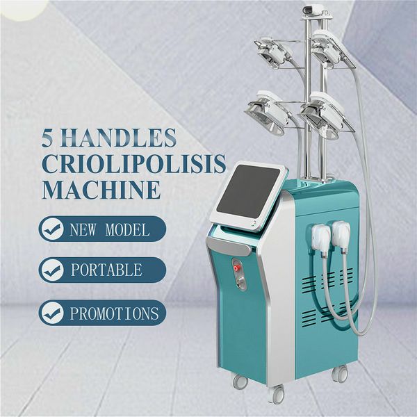 fat e machine fat e cryolipolysis slimming machine 360° mini fat e head body shaping mahcine
fat e machine fat e cryolipolysis slimming machine 360° mini fat e head body shaping mahcine