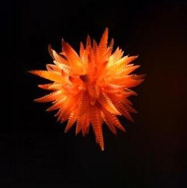 orange color pendant lamps horn shape chandelier glass murano art lighting for house decoration
orange color pendant lamps horn shape chandelier glass murano art lighting for house decoration