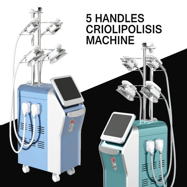 высокое качество многофункциональный velashape похудения машина лазера тела для похудения машина липосакция кавитация рф лазерная потеря вес
высокое качество многофункциональный velashape похудения машина лазера тела для похудения машина липосакция кавитация рф лазерная потеря вес