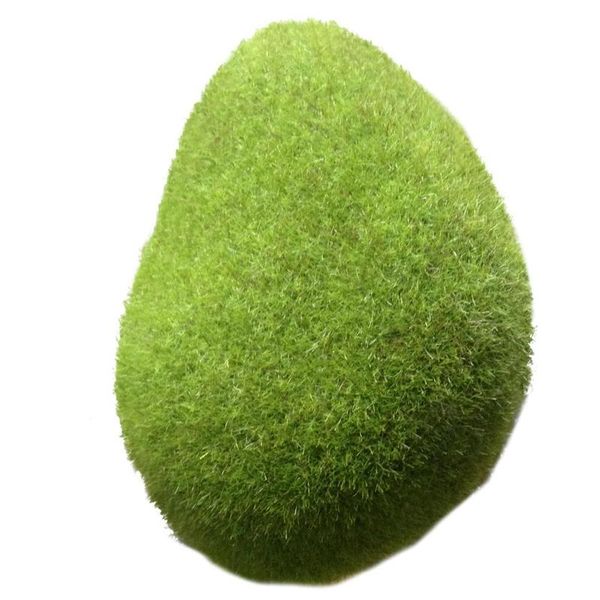 5pcs artificial green moss ball fake stone simulation plant diy decoration for window plant wall decor
5pcs artificial green moss ball fake stone simulation plant diy decoration for window plant wall decor