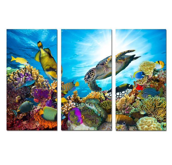 3 panels wall art hd print on canvas animal sea turtle bedroom decorative mural gift poster picture office living room home decor hyp-a1148
3 panels wall art hd print on canvas animal sea turtle bedroom decorative mural gift poster picture office living room home decor hyp-a1148