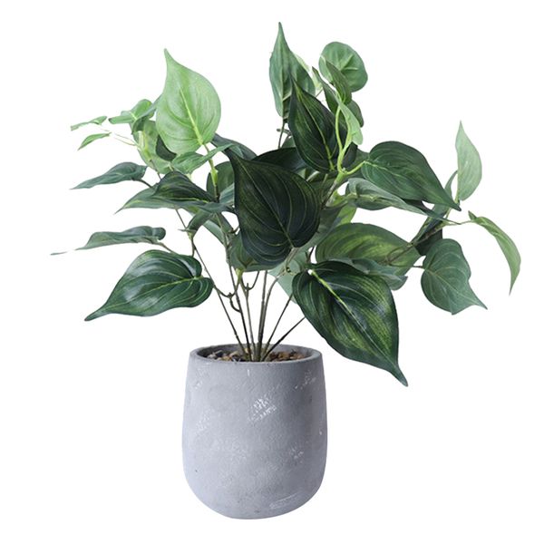 1pc artificial plants scindapsus aureus tropical decorative silk potted artificial plant fake plant for office party home decor 
1pc artificial plants scindapsus aureus tropical decorative silk potted artificial plant fake plant for office party home decor